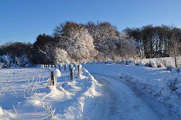 Image showing Winter