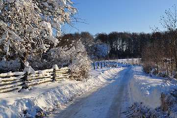 Image showing Winter