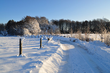 Image showing Winter