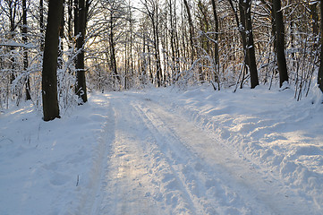 Image showing Winter