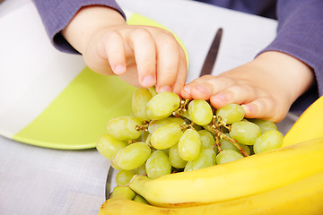 Image showing Child hands pinching grapes