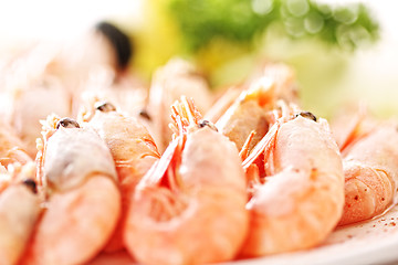 Image showing Shrimps closeup