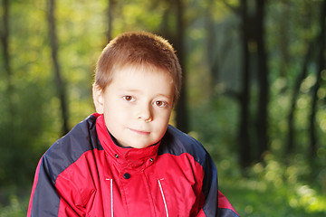 Image showing Boy in forest