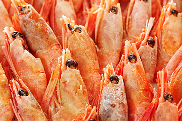 Image showing Shrimp background