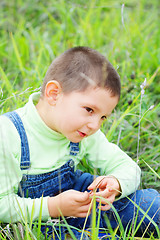 Image showing Cute boy sitting in high grass