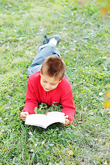 Image showing Boy reading book on grass