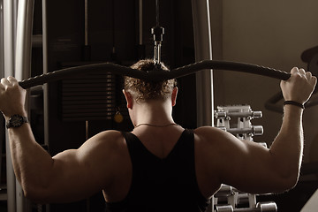 Image showing Guy training back muscles