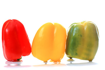 Image showing Three colored reflecting paprika