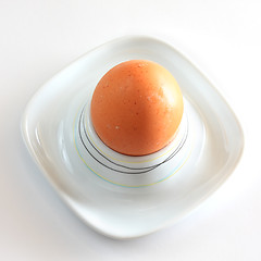 Image showing Egg in eggcup above view