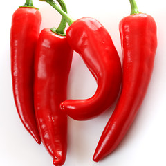 Image showing Four peppers on light background