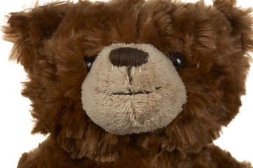 Image showing Brown teddy bear