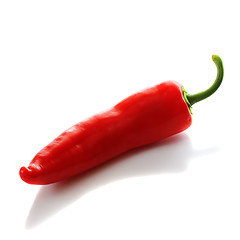 Image showing Red pepper reflected on white