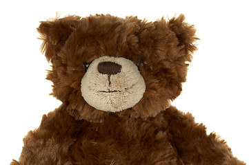 Image showing Brown teddy bear