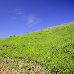 Image showing Hill