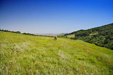 Image showing Summer in mountains