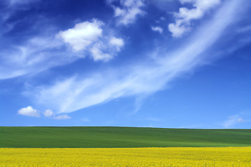 Image showing spring landscape