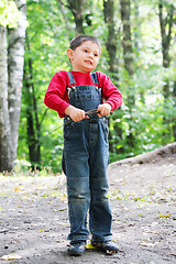 Image showing Boy with brushwood