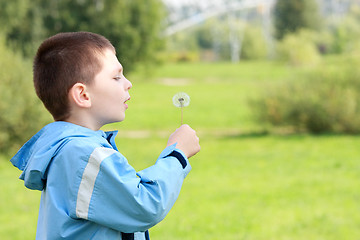 Image showing Boy and dandelion