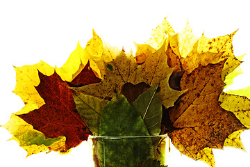 Image showing Autumn bouquet