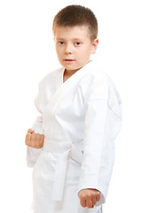 Image showing Karate boy at stance