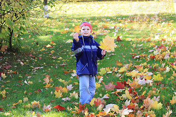 Image showing Boy collecting leaves