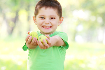 Image showing Boy giving green apples