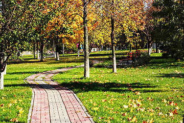 Image showing Curved path in autumn park