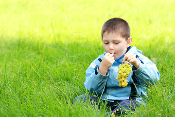 Image showing Boy eats grapes in meadow