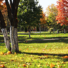 Image showing Park in autumn