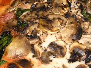 Image showing Pizza