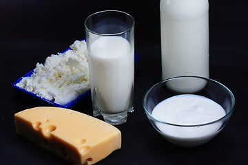 Image showing Milk and derived products