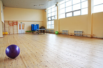 Image showing Purple ball in empty gym