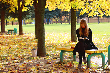 Image showing Park in fall