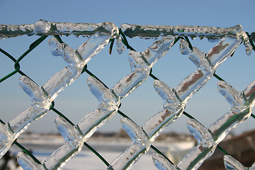 Image showing winter fence