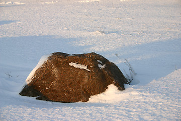 Image showing winter