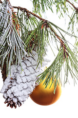 Image showing Pine branch decorated