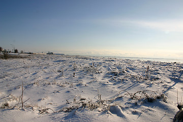 Image showing winter