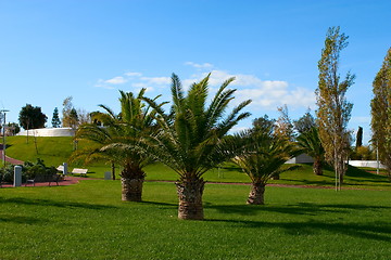 Image showing A city park with trees