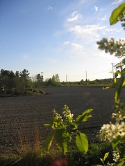 Image showing spring sowing