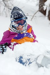 Image showing Skier