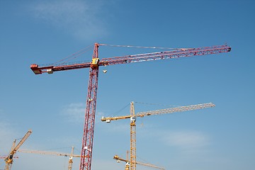 Image showing Cranes