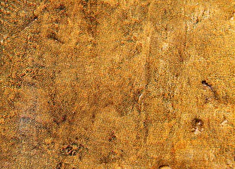 Image showing Texture
