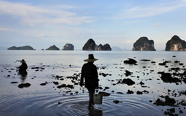 Image showing Two women collecting shellfish