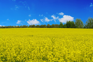 Image showing spring landscape