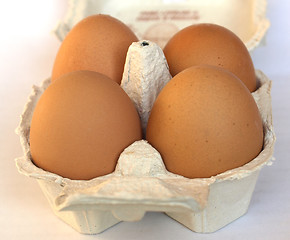 Image showing Eggs