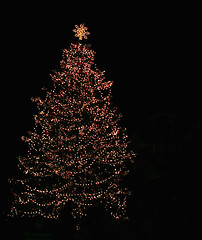 Image showing Christmas Tree