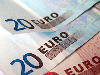 Image showing Euro notes