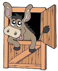 Image showing Cute donkey in stable