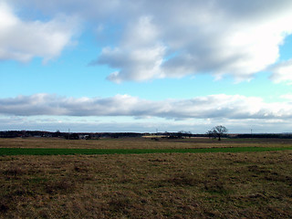 Image showing Field