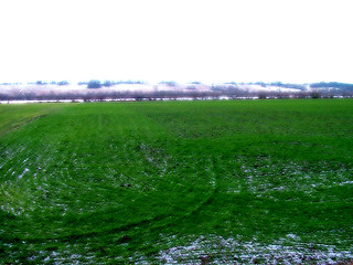 Image showing Romantic field